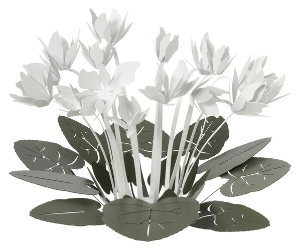 Centrotavola di design composto da svariati fiori di ciclamino CICLAMINO , dimensioni 38 x h 24 cm, colore Verde Salvia e Bianco