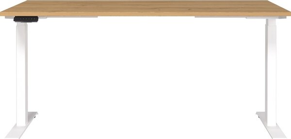 Scrivania con altezza regolabile elettricamente 80x160 cm Jet – Germania