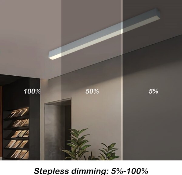 Brilagi - Plafoniera LED dimmerabile SLEEKLINE LED/40W/230V Wi-Fi Tuya argento + telecomando