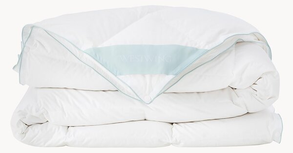 Piumino normale in piuma d'oca quattro stagioni Comfort