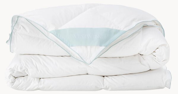 Piumino normale in piuma d'oca quattro stagioni Comfort