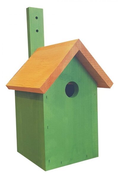 Casetta per uccelli in legno verde per nidificare