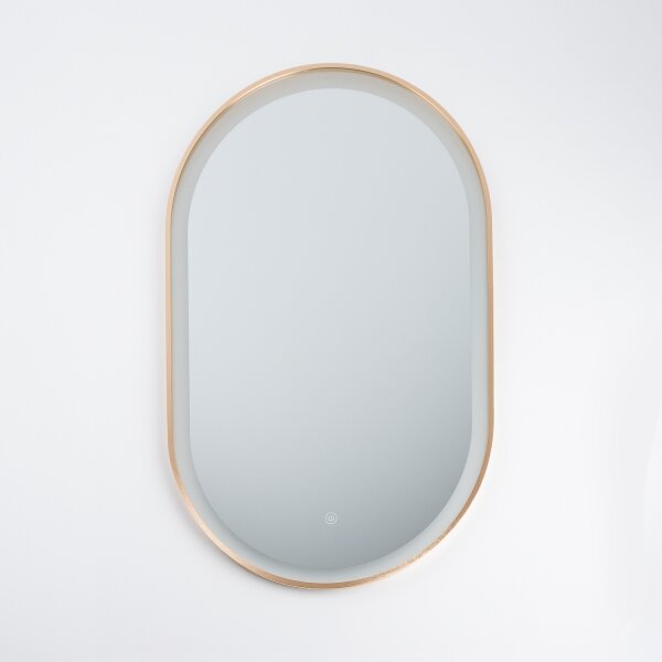 BRILAGI-LED Specchio da bagno ERBA LED/25W/230V 50x80 cm oro IP44 CRI 90 dimmerabile + CCT