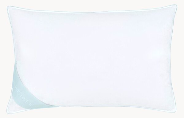 Cuscino in piuma Comfort, duro