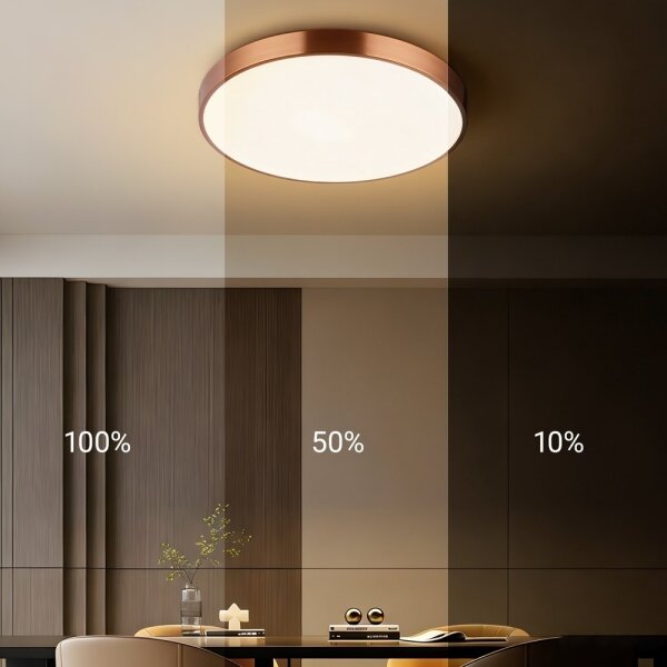 Immax NEO 07321L-LED Plafoniera dimmerabile NEO LITE SEMPLICI 36W/230V, diametro 40 cm, finitura ramata, con telecomando