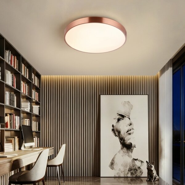 Immax NEO 07321L-LED Plafoniera dimmerabile NEO LITE SEMPLICI 36W/230V, diametro 40 cm, finitura ramata, con telecomando