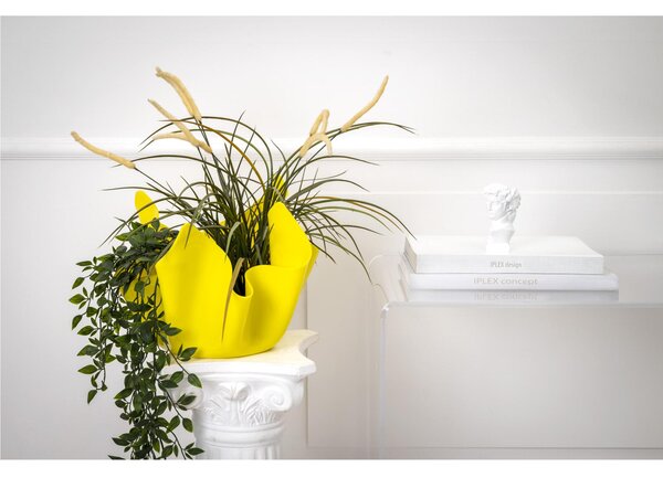 Vaso, Centrotavola, Forma Iconica in Plexiglass BIG Linea Drappeggi D'AUTORE , 45x45x h 29 cm - 0,5 kg Colore Giallo
