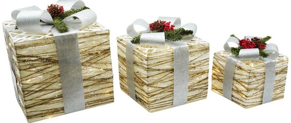 Set 3 Pacchi di Natale con LED in Plastica Bianco e Argento