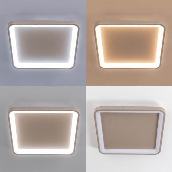 BRILAGI - Plafoniera LED dimmerabile FALCON SLIM LED/50W/230V 50x50 cm beige + telecomando
