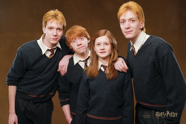 Stampa d'arte Harry Potter - Weasley family, (40 x 26.7 cm)