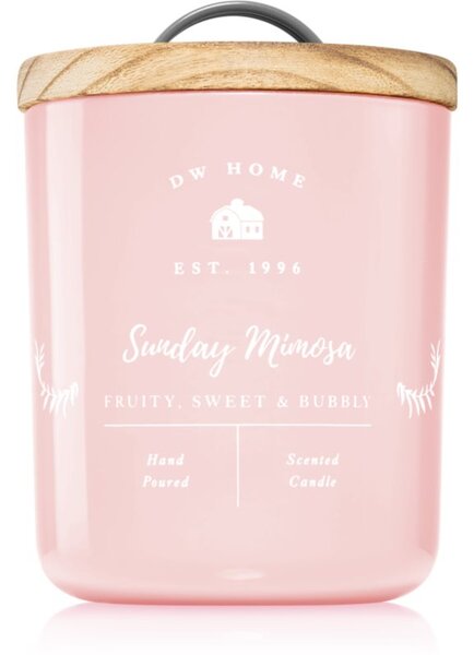 DW Home Farmhouse Sunday Mimosa candela profumata 263 g