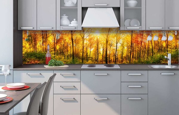 Buvu Carta da parati lavabile autoadesiva per cucina - Sole d'autunno nella foresta, 260x60 cm