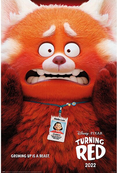 Buvu Poster - Turning Red (Red Panda Mei)