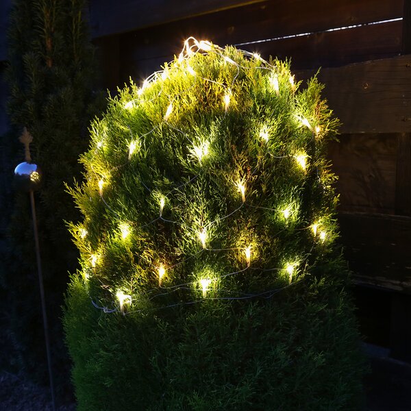 Catena luminosa a LED in bosso - Funzione lampeggiante - 80 LED bianco caldo/ambra - D: 50 cm - trasparente