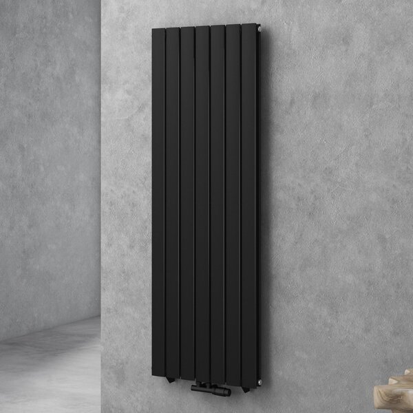 Doporro Radiatore Verticale da Bagno 160x54cm, Radiatore a Pannello a Doppio Strato Termoarredo da Parete e Pavimento in Acciaio, Antracite