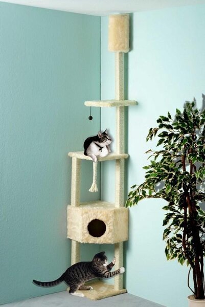 Albero per graffiare per gatti, color beige