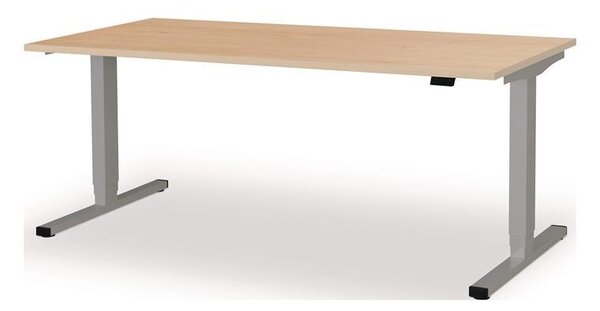 Postazione di lavoro in piedi/seduti, modello H650-1250xB1800xT800mm, struttura in alluminio verniciato, colore RAL 9006/noce, con regolazione elettrica dell'altezza