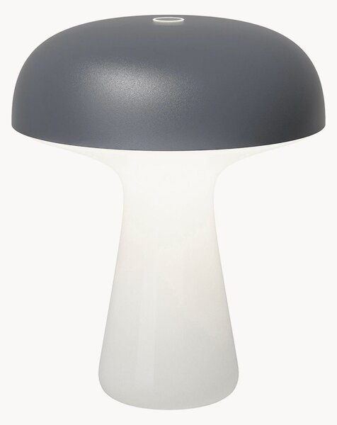 Lampada outdoor piccola portatile a LED con luce regolabile My