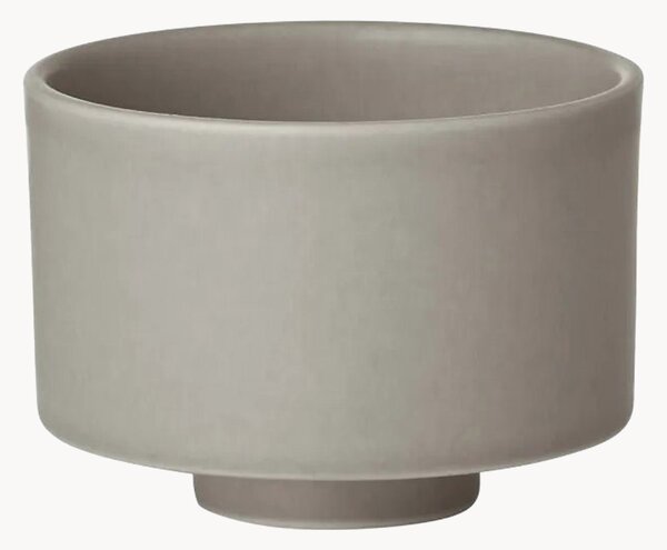Tazza Makoto