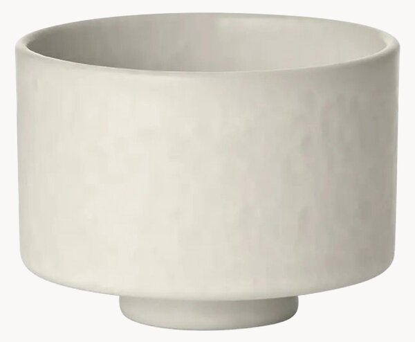 Tazza Makoto