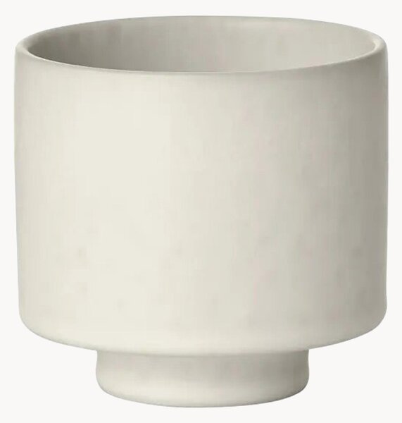 Tazza Makoto