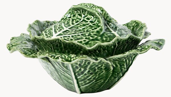 Insalatiera Cabbage