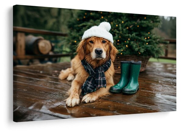 Quadro su tela – Cane natalizio sulla terrazza