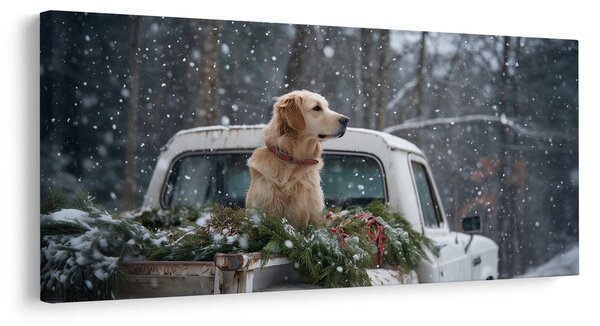 Quadro su tela Natalizio – Cane su cassone pieno di aghi