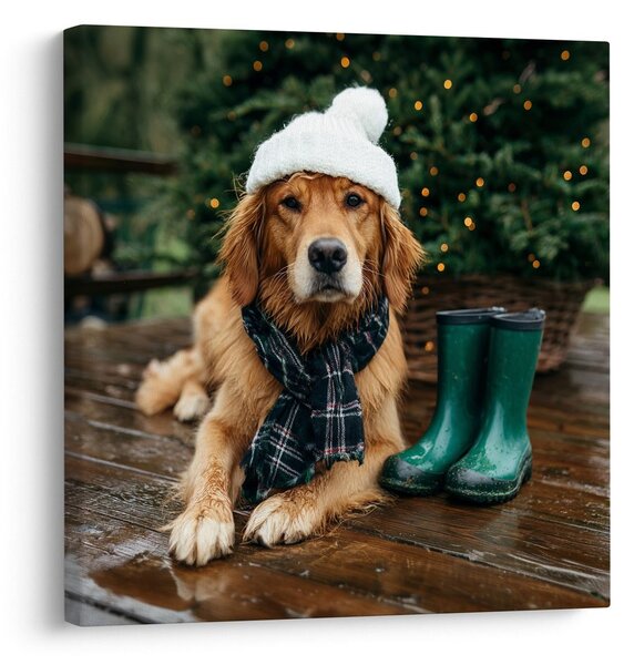 Quadro su tela – Cane con cappello invernale