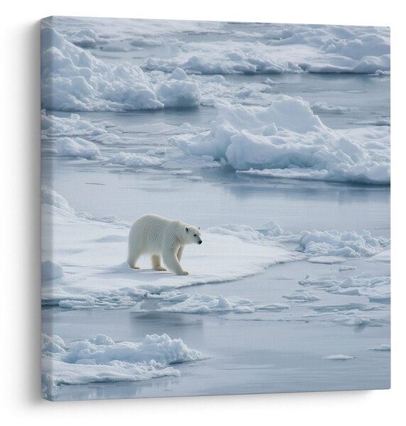 Quadro su tela – Regno invernale di ghiaccio