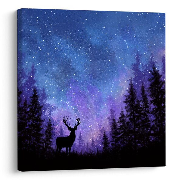 Quadro su tela – Incanto invernale del cielo notturno