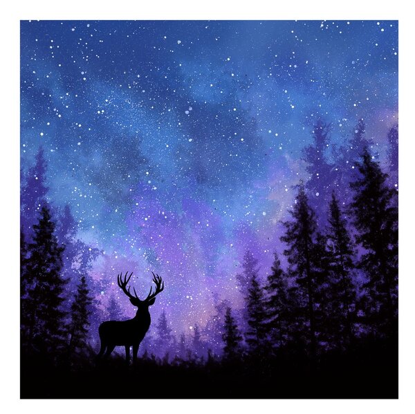 Quadro su tela – Incanto invernale del cielo notturno