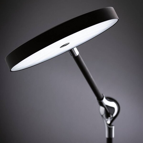 Paulmann Lampada da scrivania Numis, dimmerabile, Nero, Studio / Ufficio, Alluminio, Moderno, Lampada da tavolo LED