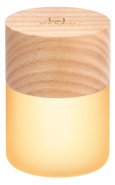 Decorazione luminosa di colore naturale con ricarica USB ø 4,5 cm Lemelia – Gingko