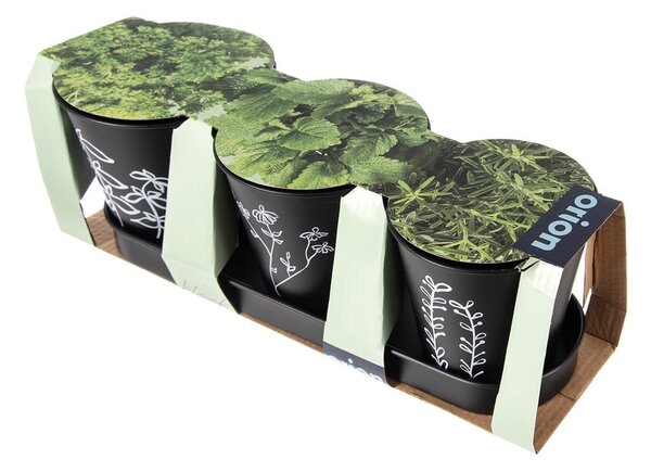 Set di vasi in metallo per erbe aromatiche 3 pz ø 11 cm Black - Orion