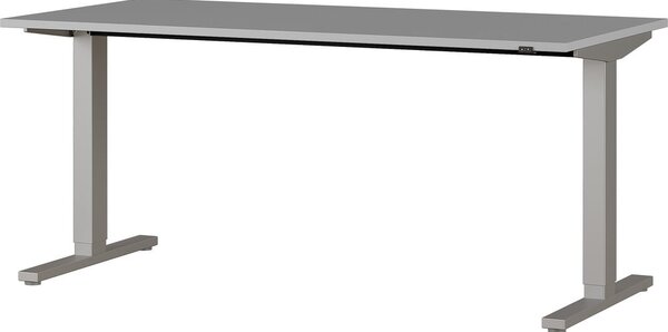 Tavolo da lavoro con altezza regolabile elettricamente 80x160 cm Agenda - Germania