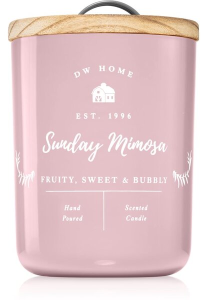 DW Home Farmhouse Sunday Mimosa candela profumata 434 g