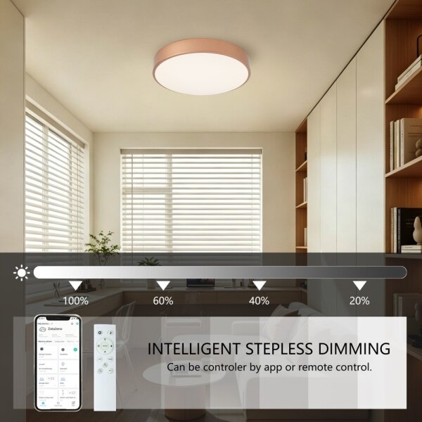 Brilagi-LED Lampada dimmerabile POOL SMART LED/48W/230V 40 cm Wi-Fi Tuya bronzo + telecomando