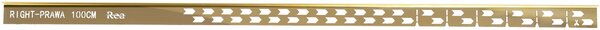 Profilo doccia pendenzato 100cm Gold