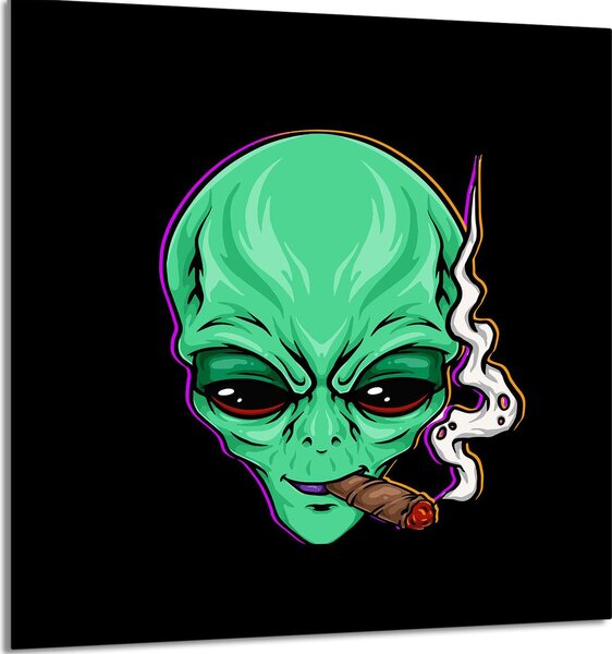 Piatto In Vetro Per Cucina 60X65 Ufo