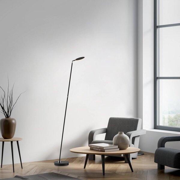 Paul Neuhaus Lampada da terra a LED Akku-Bente, dimmerabile, Nero, Studio / Ufficio, Metallo, Moderno, Lampada LED da terra