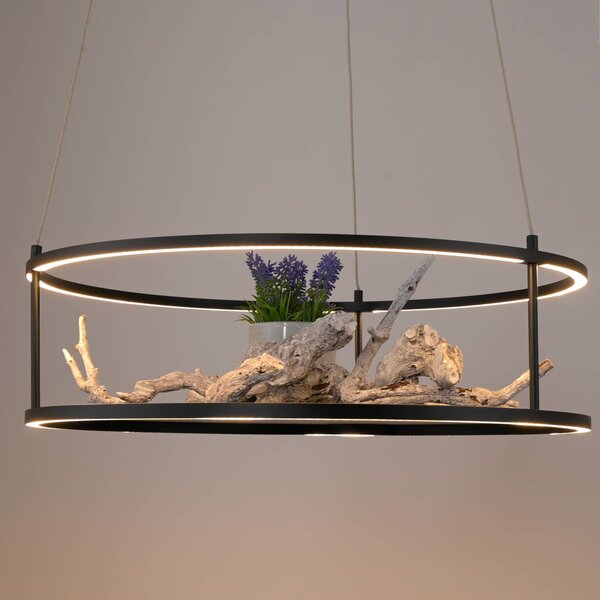 Paul Neuhaus Lampada LED a sospensione Conni di Neuhaus, nera, Ø 50 cm Conni, dimmerabile, Nero, Soggiorno / Sala da pranzo, Metallo, Moderno