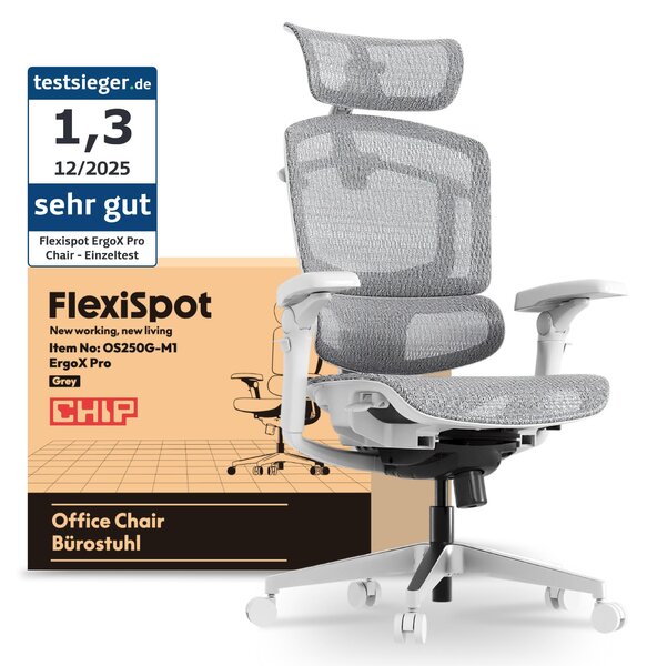 FLEXISPOT ErgoX Pro Sedia ergonomica per ufficio regolabile in altezza in 12 posizioni 7D braccioli 5D supporto lombare 4D poggiatesta Capacità di carico 250 kg Sedile in rete Grigio