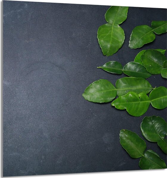 PIATTO IN VETRO PER CUCINA 60x65 ardesia