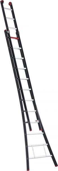 Scala a sfilo Altrex Nevada con 2x12 pioli