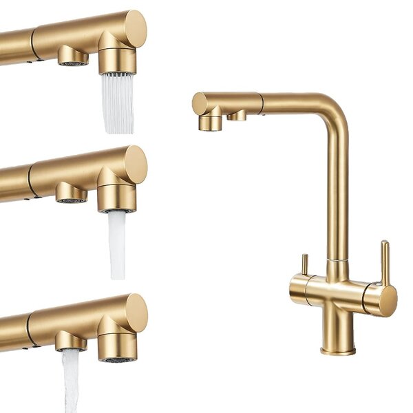 Rubinetto da cucina, design a doppio supporto, controllo dell'acqua calda e fredda, oro spazzolato
