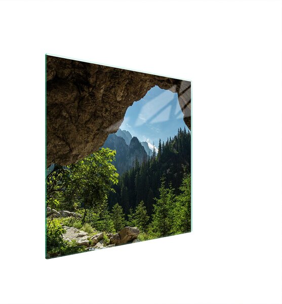 Piastra Di Protezione In Vetrina Per Albero 50X52