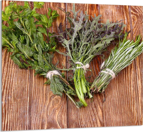 PIATTO IN VETRO PER CUCINA 65x60 Rosmarino