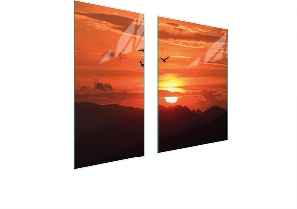 Piastre copri fornelli 2 pezzi 75x52 Copri piano cottura in Vetroceramica tagliere in vetro uccelli arancione