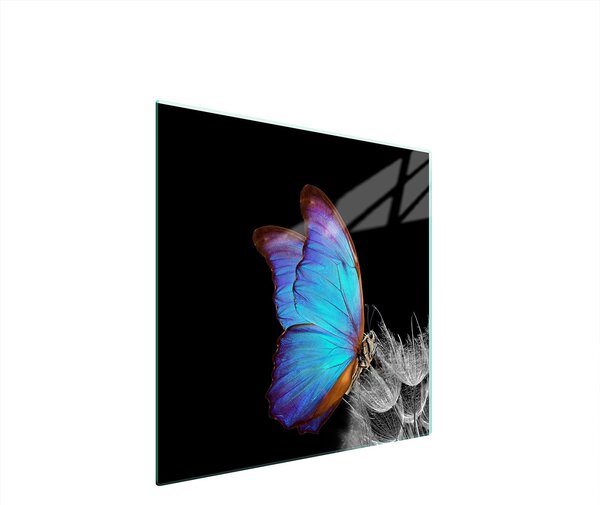 Piastra Di Protezione In Vetrina Per L'erba 50X52 Butterfly